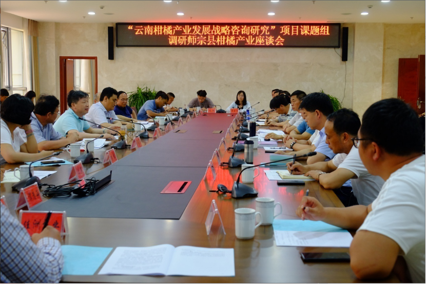 &ldquo;云南柑橘产业发展战略咨询研究&rdquo;项目